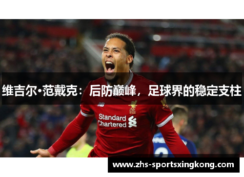 维吉尔·范戴克:后防巅峰,足球界的稳定支柱 维吉尔·范戴克:后防巅峰,足球界的稳定支柱