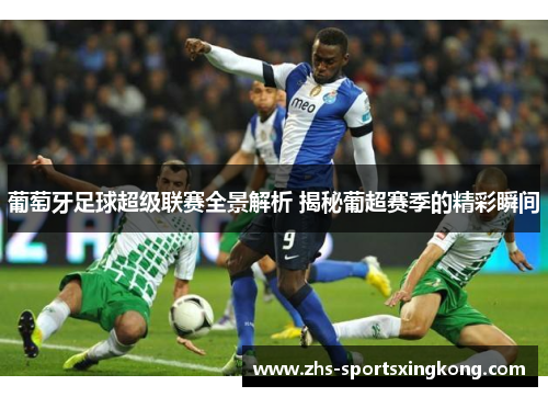 葡萄牙足球超级联赛全景解析 揭秘葡超赛季的精彩瞬间 葡萄牙足球超级联赛全景解析 揭秘葡超赛季的精彩瞬间